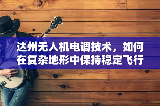 达州无人机电调技术，如何在复杂地形中保持稳定飞行？