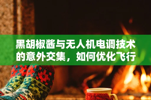 黑胡椒酱与无人机电调技术的意外交集，如何优化飞行稳定性？