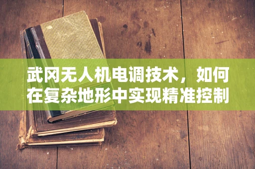 武冈无人机电调技术，如何在复杂地形中实现精准控制？