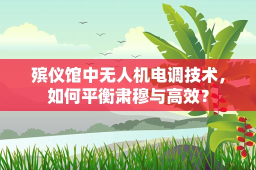 殡仪馆中无人机电调技术，如何平衡肃穆与高效？