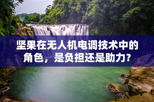 坚果在无人机电调技术中的角色，是负担还是助力？