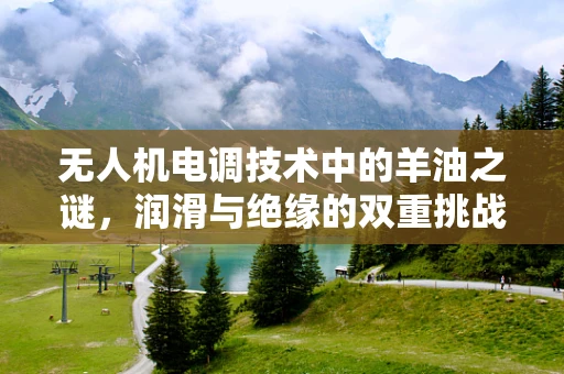无人机电调技术中的羊油之谜，润滑与绝缘的双重挑战？