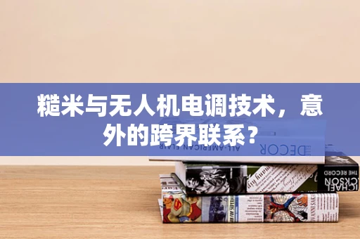 糙米与无人机电调技术，意外的跨界联系？