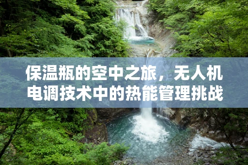 保温瓶的空中之旅，无人机电调技术中的热能管理挑战