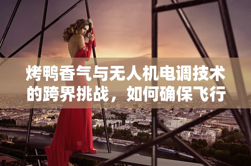烤鸭香气与无人机电调技术的跨界挑战，如何确保飞行中的美食安全？