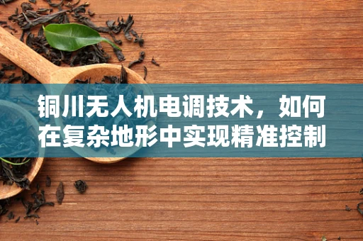 铜川无人机电调技术，如何在复杂地形中实现精准控制？