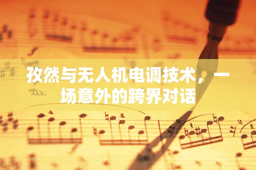 孜然与无人机电调技术，一场意外的跨界对话