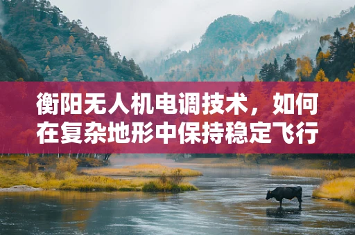 衡阳无人机电调技术，如何在复杂地形中保持稳定飞行？