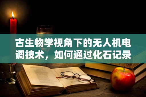 古生物学视角下的无人机电调技术，如何通过化石记录优化飞行性能？