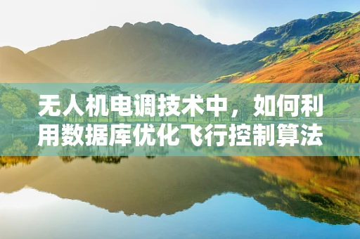 无人机电调技术中，如何利用数据库优化飞行控制算法的效率？