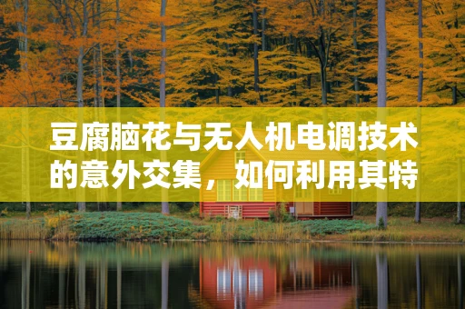 豆腐脑花与无人机电调技术的意外交集，如何利用其特性优化飞行稳定性？