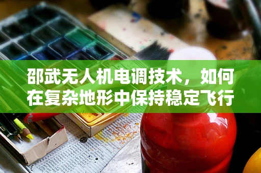 邵武无人机电调技术，如何在复杂地形中保持稳定飞行？