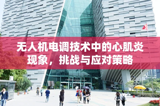 无人机电调技术中的心肌炎现象，挑战与应对策略