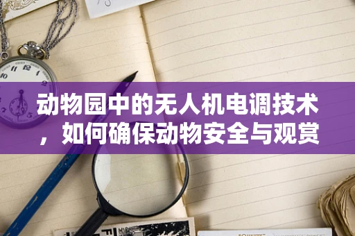动物园中的无人机电调技术，如何确保动物安全与观赏体验的平衡？