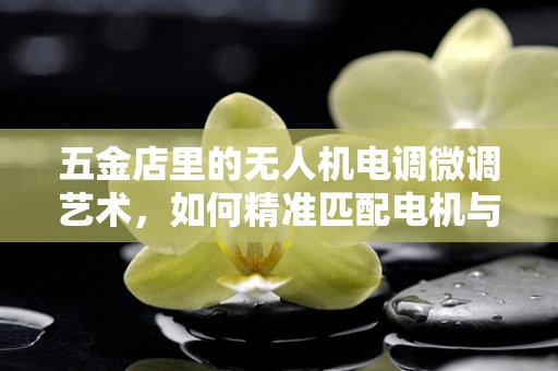 五金店里的无人机电调微调艺术，如何精准匹配电机与电池？