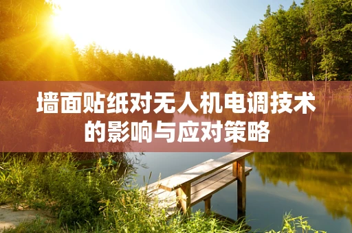 墙面贴纸对无人机电调技术的影响与应对策略