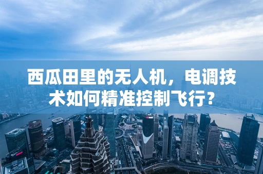 西瓜田里的无人机，电调技术如何精准控制飞行？