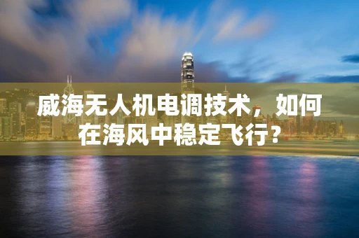 威海无人机电调技术，如何在海风中稳定飞行？