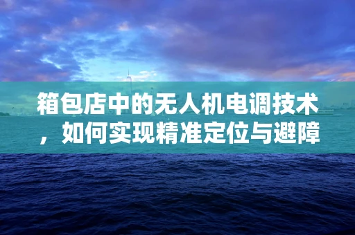 箱包店中的无人机电调技术，如何实现精准定位与避障？
