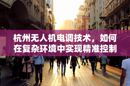 杭州无人机电调技术，如何在复杂环境中实现精准控制？