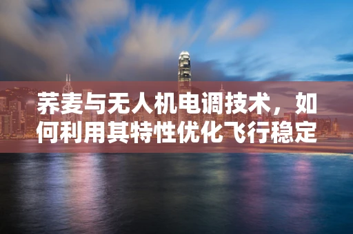 荞麦与无人机电调技术，如何利用其特性优化飞行稳定性？
