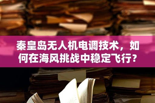 秦皇岛无人机电调技术，如何在海风挑战中稳定飞行？