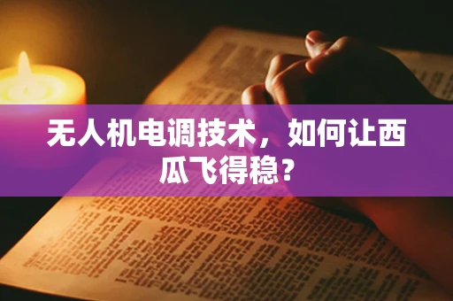 无人机电调技术，如何让西瓜飞得稳？