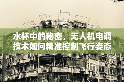 水杯中的秘密，无人机电调技术如何精准控制飞行姿态？