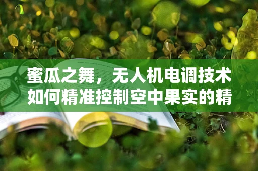 蜜瓜之舞，无人机电调技术如何精准控制空中果实的精准采摘？