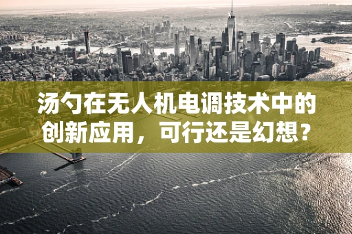 汤勺在无人机电调技术中的创新应用，可行还是幻想？