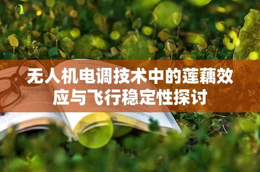 无人机电调技术中的莲藕效应与飞行稳定性探讨