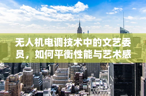无人机电调技术中的文艺委员，如何平衡性能与艺术感？