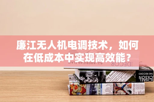 廉江无人机电调技术，如何在低成本中实现高效能？
