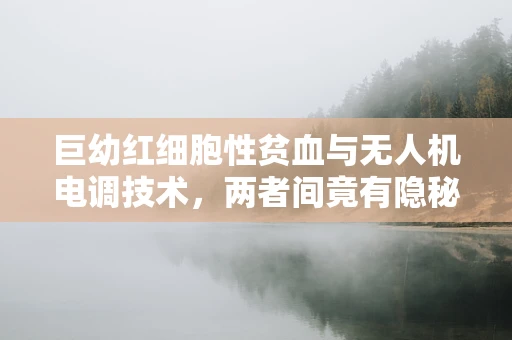 巨幼红细胞性贫血与无人机电调技术，两者间竟有隐秘联系？