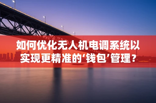 如何优化无人机电调系统以实现更精准的‘钱包’管理？