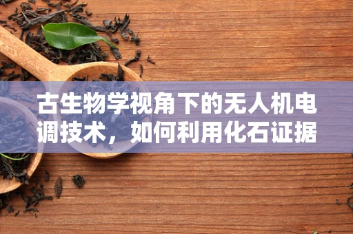 古生物学视角下的无人机电调技术，如何利用化石证据优化飞行控制？