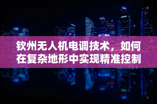 钦州无人机电调技术，如何在复杂地形中实现精准控制？