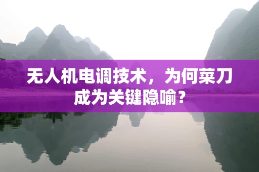 无人机电调技术，为何菜刀成为关键隐喻？