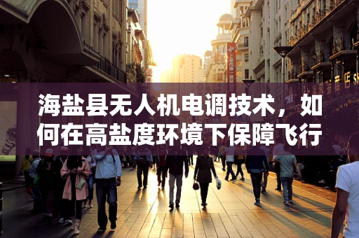 海盐县无人机电调技术，如何在高盐度环境下保障飞行稳定？