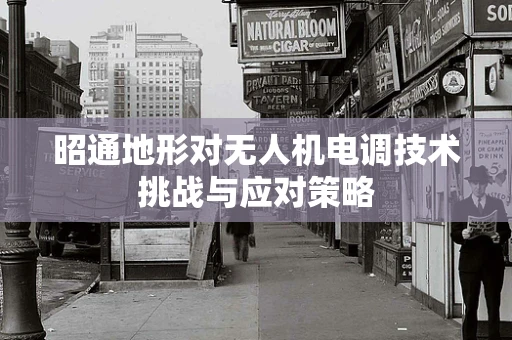 昭通地形对无人机电调技术挑战与应对策略