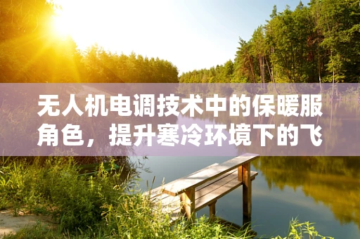 无人机电调技术中的保暖服角色，提升寒冷环境下的飞行稳定性