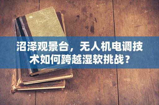 沼泽观景台，无人机电调技术如何跨越湿软挑战？