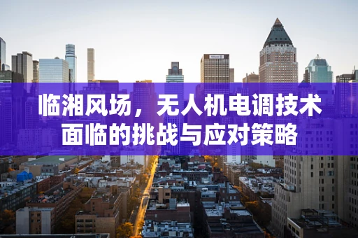 临湘风场，无人机电调技术面临的挑战与应对策略