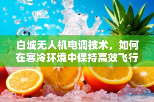 白城无人机电调技术，如何在寒冷环境中保持高效飞行？