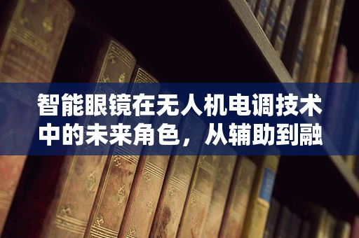 智能眼镜在无人机电调技术中的未来角色，从辅助到融合控制