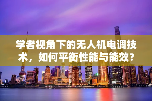 学者视角下的无人机电调技术，如何平衡性能与能效？
