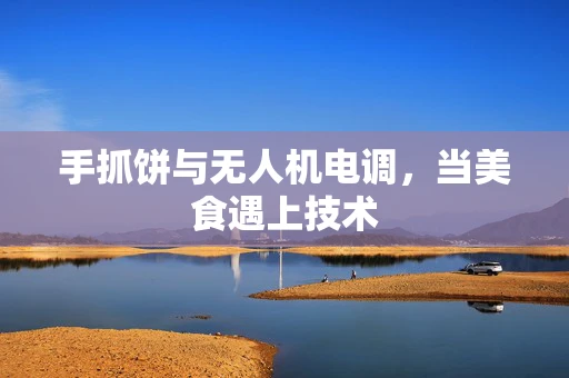 手抓饼与无人机电调，当美食遇上技术
