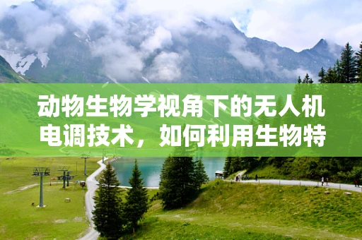 动物生物学视角下的无人机电调技术，如何利用生物特性优化飞行控制？