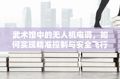 武术馆中的无人机电调，如何实现精准控制与安全飞行？