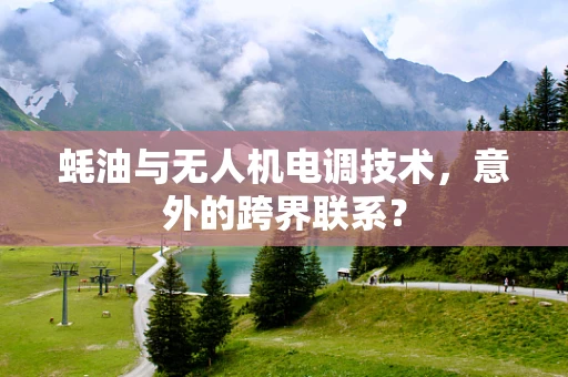 蚝油与无人机电调技术，意外的跨界联系？